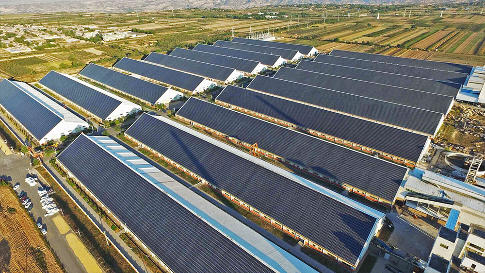 USDT����Ǯ��(�й���)�ٷ���վ